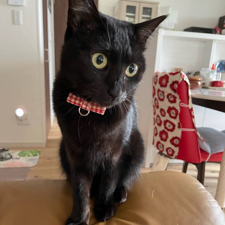 6ffce1ac 53c2 4eb5 a52e fd13d7f2398e 1700117135176