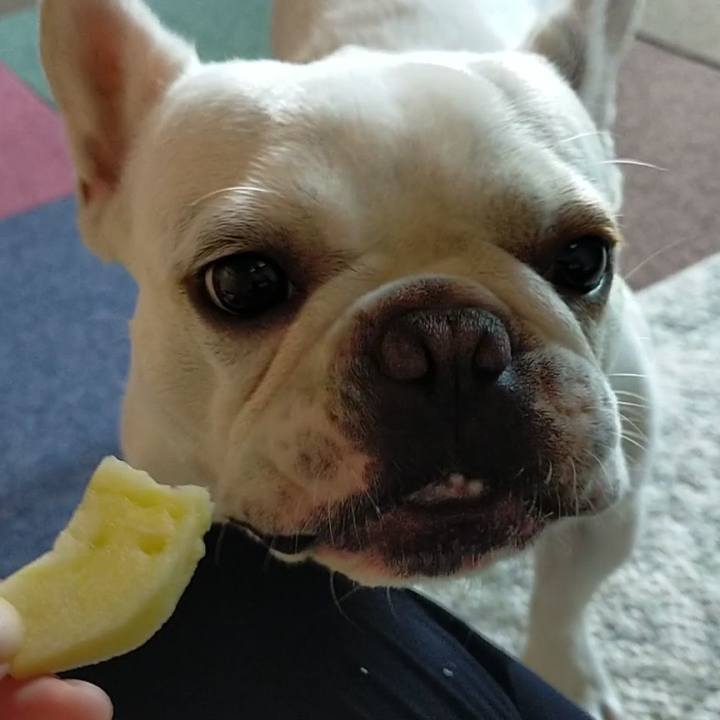 6ffd5198 06b9 4f67 a1c4 8eb182086722 1659998487670