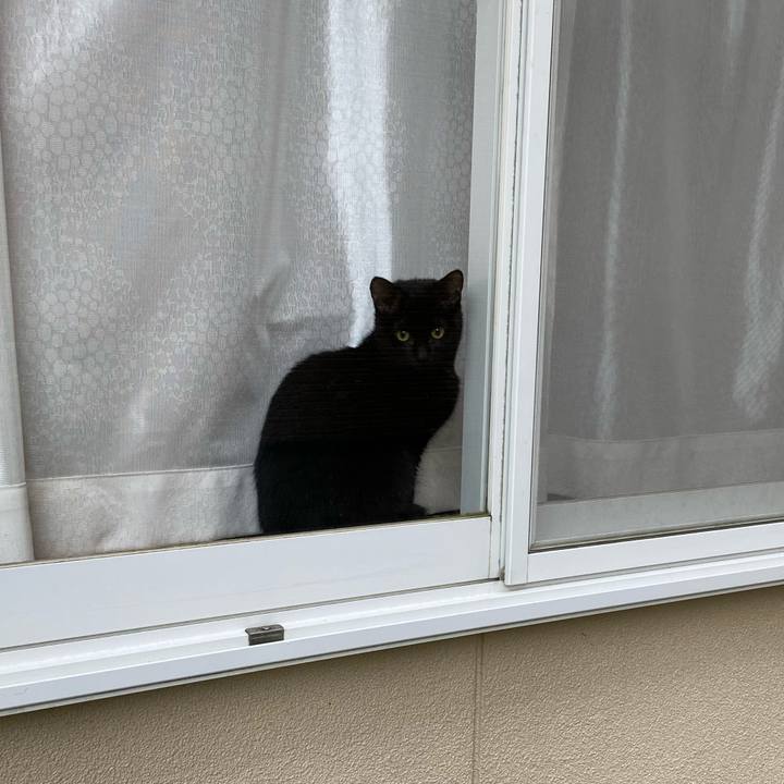 6ffd557e 1d8e 4cbc b936 40b2d74d465b 1617101869266