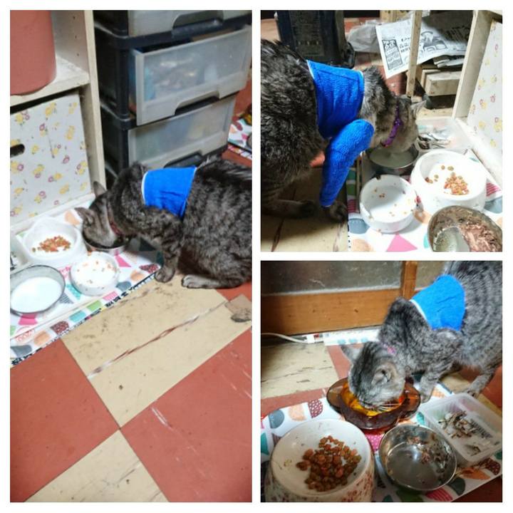 6ffdbbeb 6c52 496d 9b86 37a4ba6b274f 1586769558295