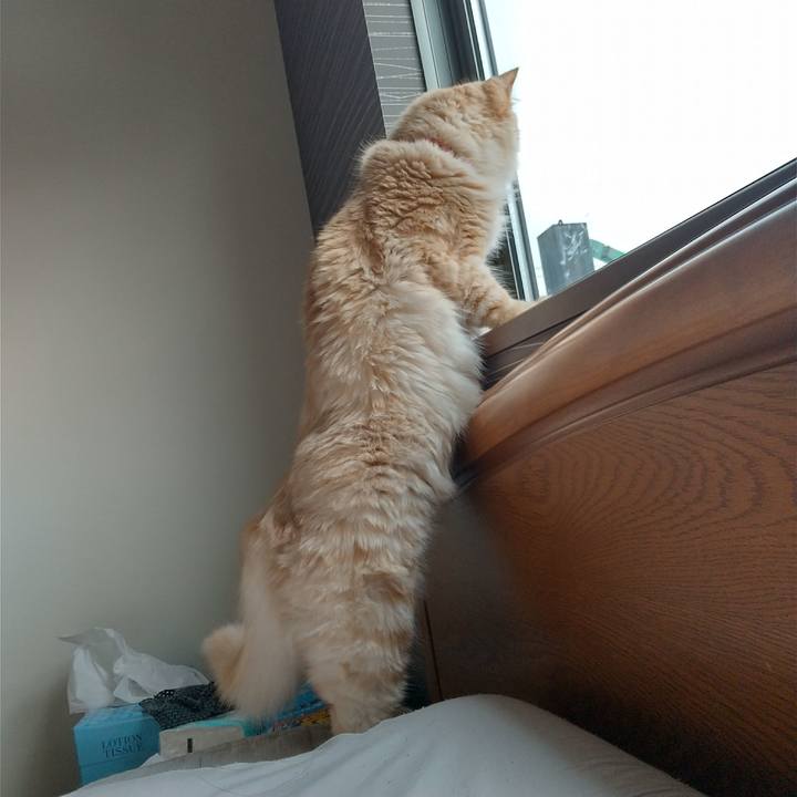 6ffdf810 8a8d 4107 b74c 8f0c7d3fd4d8 1628747887438