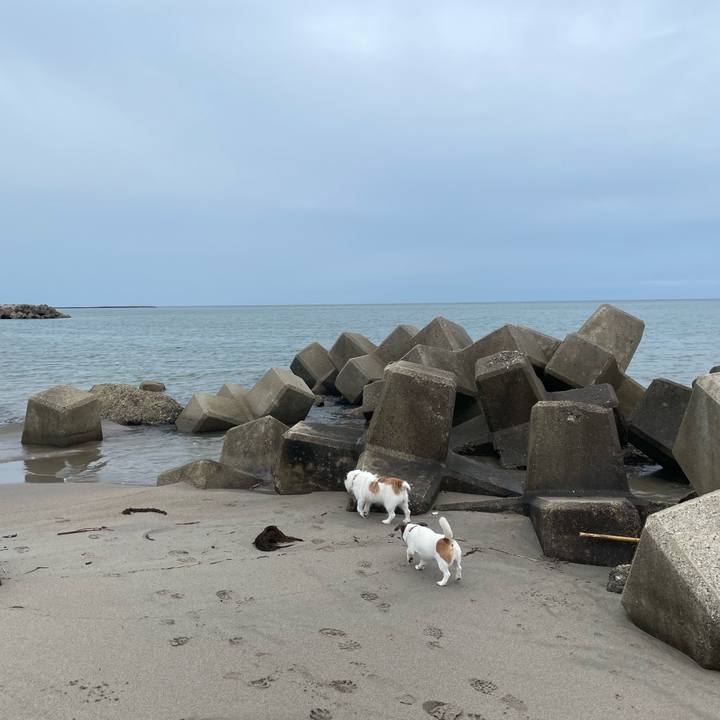 6ffe10c1 372a 4772 9c50 de18132ffc16 1719963812836