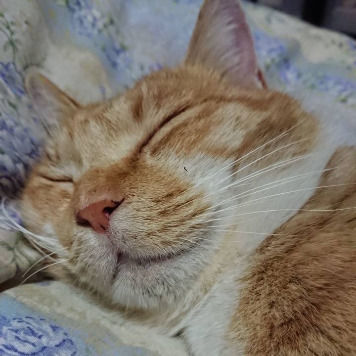 6ffe6769 5103 4eed a27f d85e9390193b 1576760685160