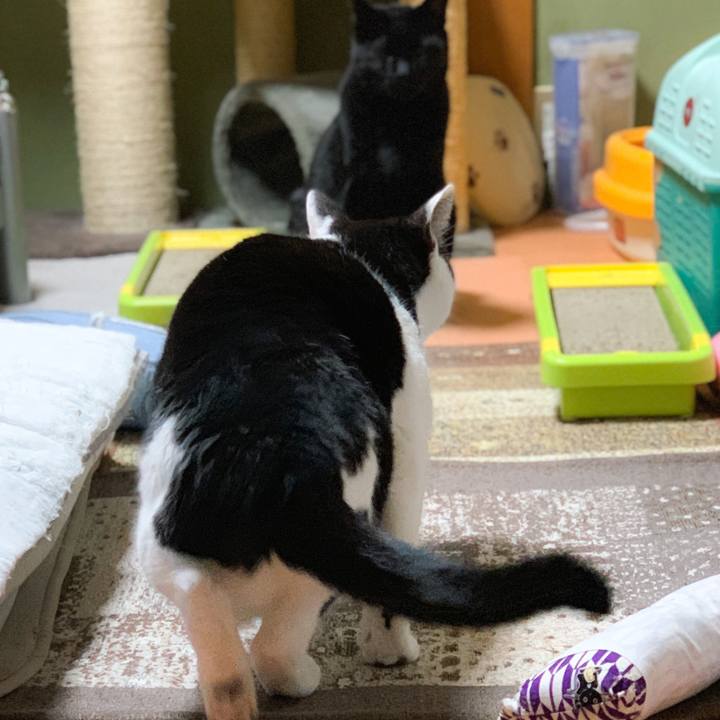 6ffe7c80 1aad 4ed0 ab1c 688ba2775a05 1580089467054