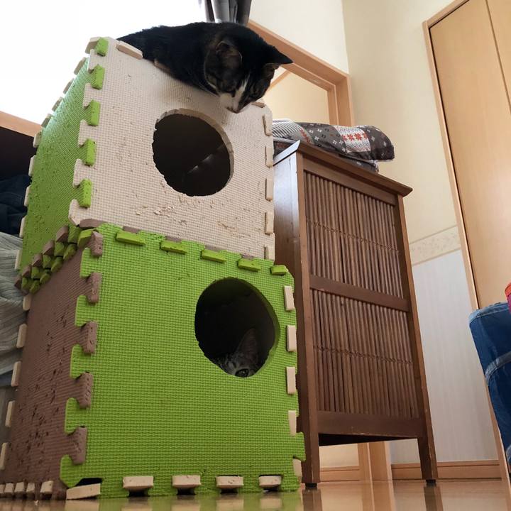 6ffe8966 8562 46b9 ba28 cb1cda31d37d 1525376015834