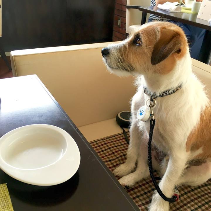 6ffe9dcd 05e1 4a56 a43d a46659a361f7 1566893543345