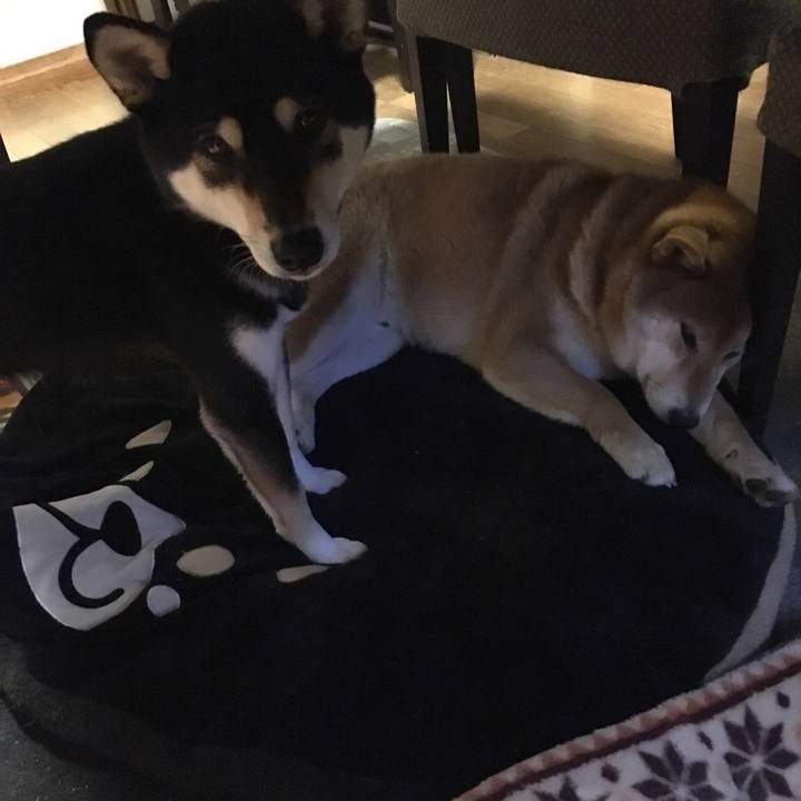 6ffea024 5752 4acf a7aa 61cc4df3faa8 1547783219518