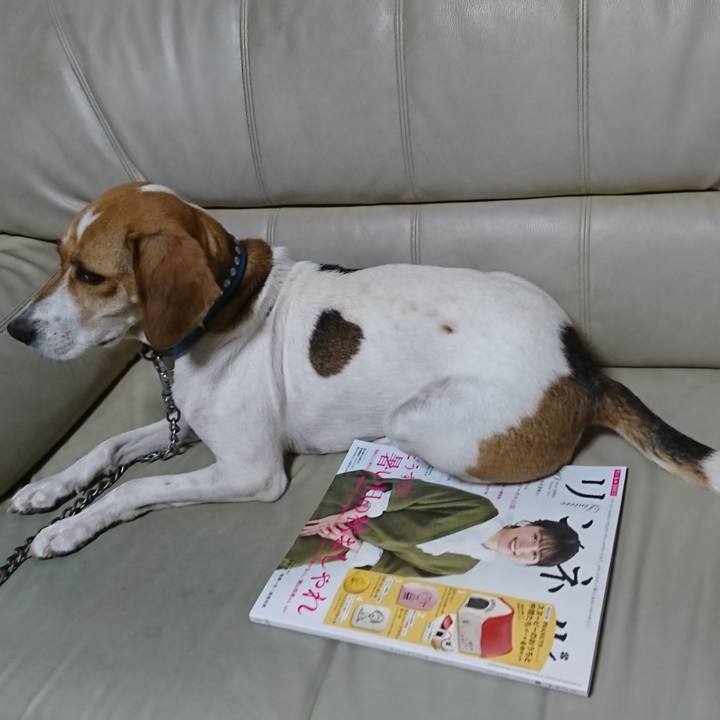 6ffea2de d1ee 41f5 a6f5 59fc4a330774 1566212689777