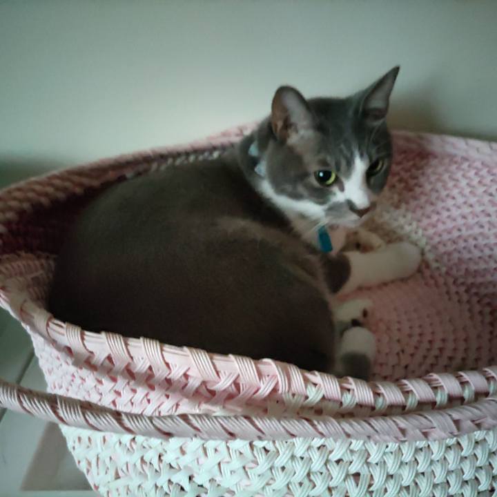 6ffec112 2abd 4c6c b915 c3c56bb490ce 1695764944328