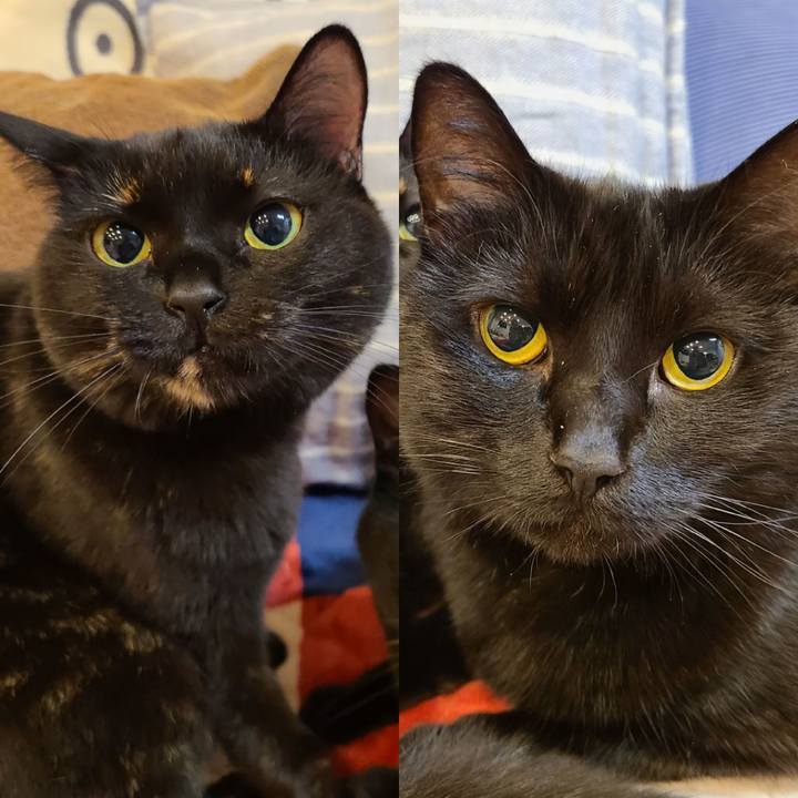 6fff02fa 1d75 4741 8e83 d66f752bf7e5 1688045186584