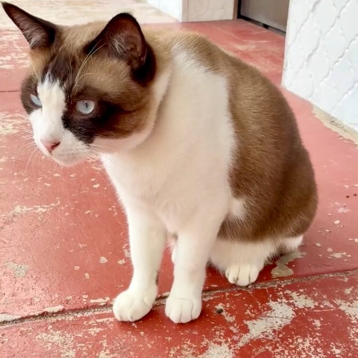 6fff11cd a020 4a21 a1eb aa711c357037 1754639565464