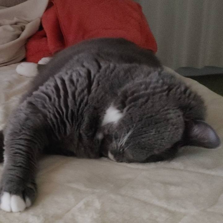 6fff135b 3625 4dd6 bcf1 ddf3cf0435b8 1684674678630