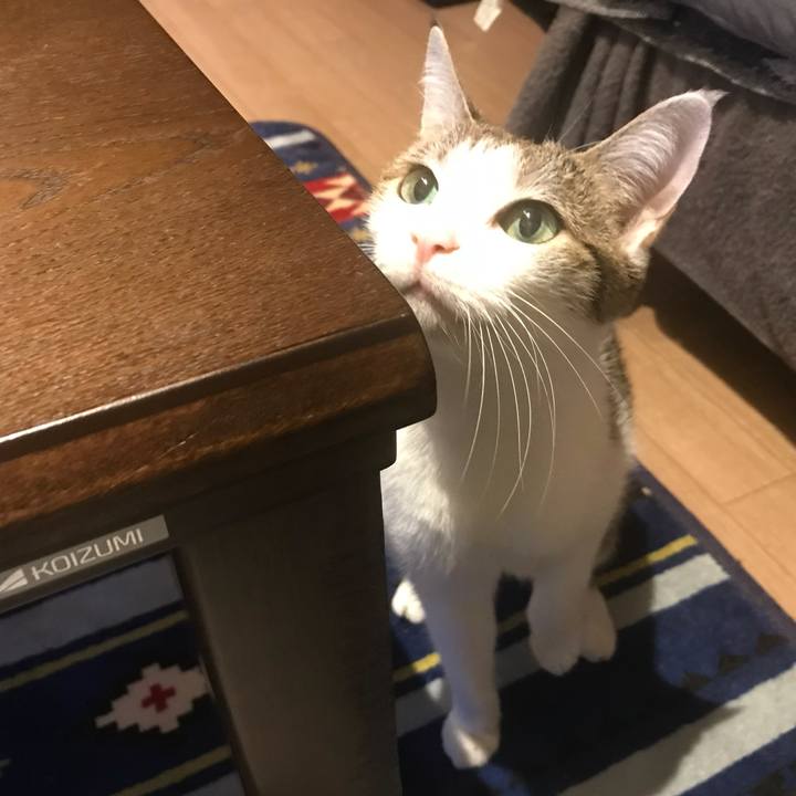 6fff4569 9f67 4171 ab2c 4b2f9d05388e 1623836652037