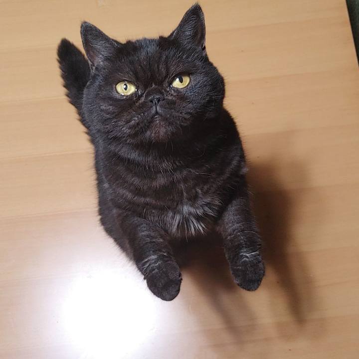 6fffb119 60f6 4fd3 9404 d2566b2a88a1 1658486592187