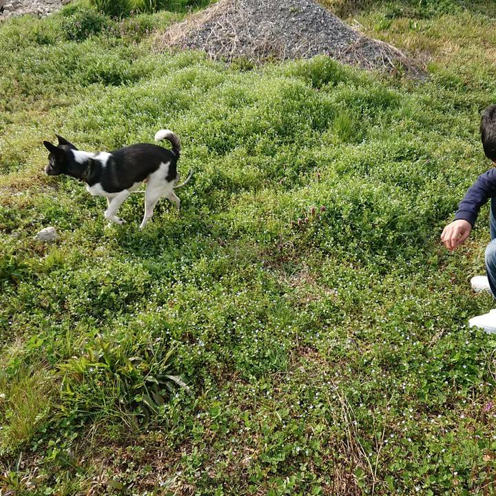 6fffbccf dab0 41cd 9e69 b05f95e964f6 1553697107803