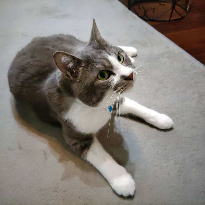 6fffc055 e194 4770 aecc d9075d051970 1716859639720