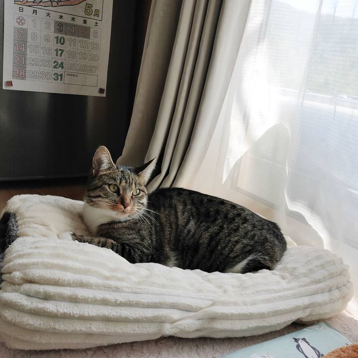 6fffdce0 8ae5 4f80 9c62 3aeb3873ab2e 1683596910301