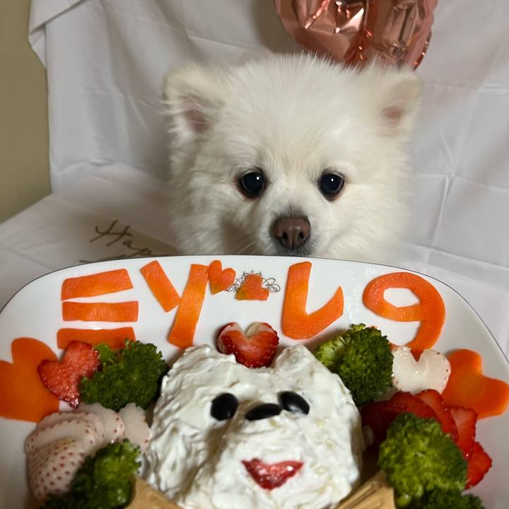 6fffeed0 6aa6 4884 8872 0b2976f2be3f 1773696620925