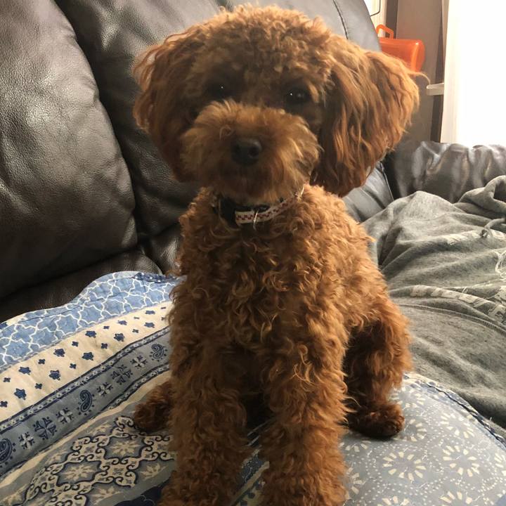 70001c50 a6e5 41a5 91dc 131e5f43d0f7 1512426446138