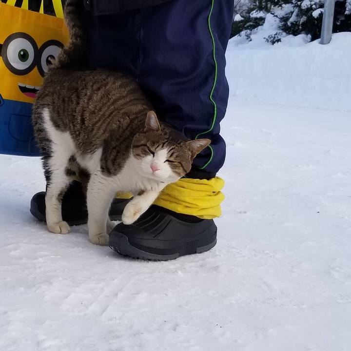 700028f8 905b 4b77 b6a5 85151af19483 1581331621801