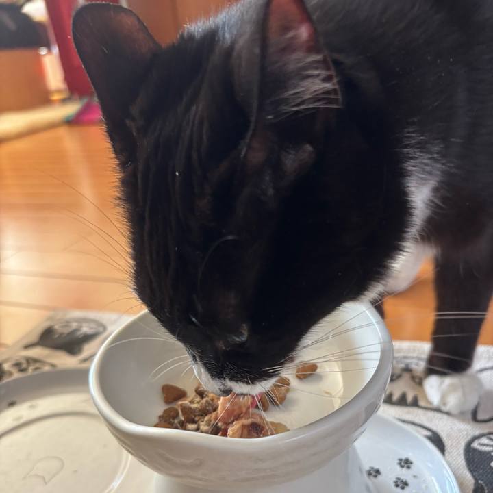 70003936 6403 4228 a1b5 7f369fd6ece8 1768712721375