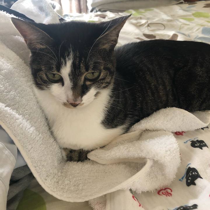 70006633 f213 4e5e 801a fabd0d6cb7b3 1564231599798