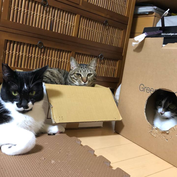 7000744e cfde 4cbe 96ed 41eb4607be20 1542140171370