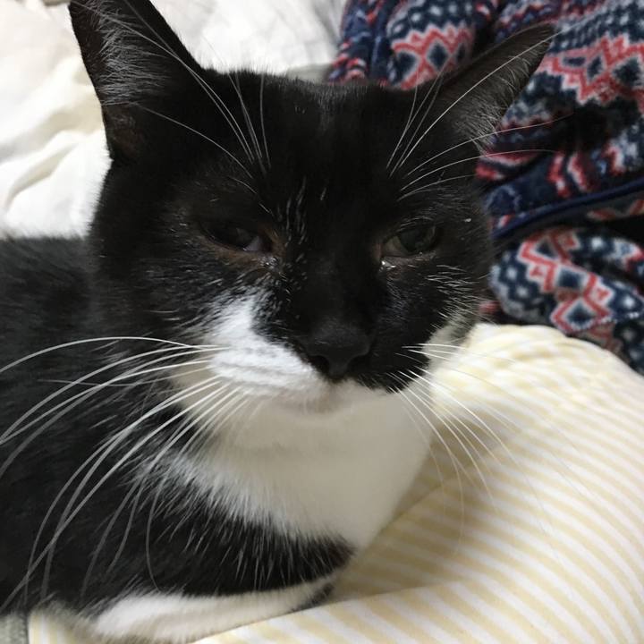 70009ab4 ace1 401c 915f 9d3f3cd770ac 1512068962393