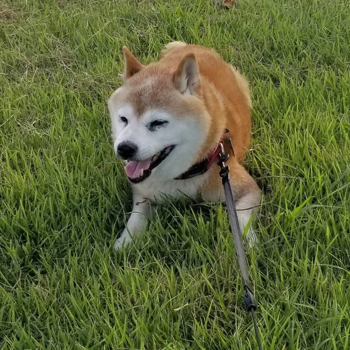 7000bb42 dc5e 4554 8f2d ba579bc1abde 1724401744669