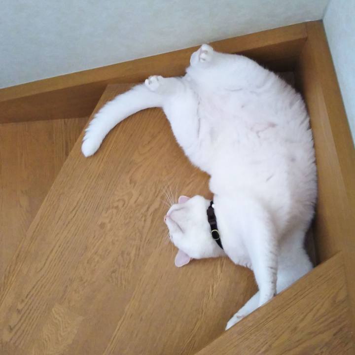 7000e611 79f7 4832 987d 42777e2fced6 1632204166679