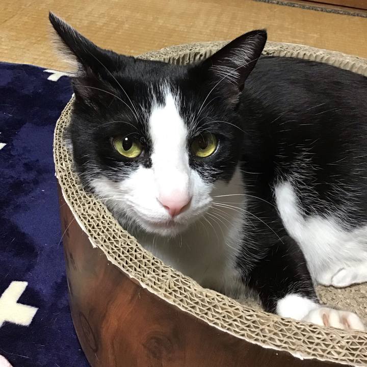 700112e5 c751 48ea be70 838d3d446155 1714042466971