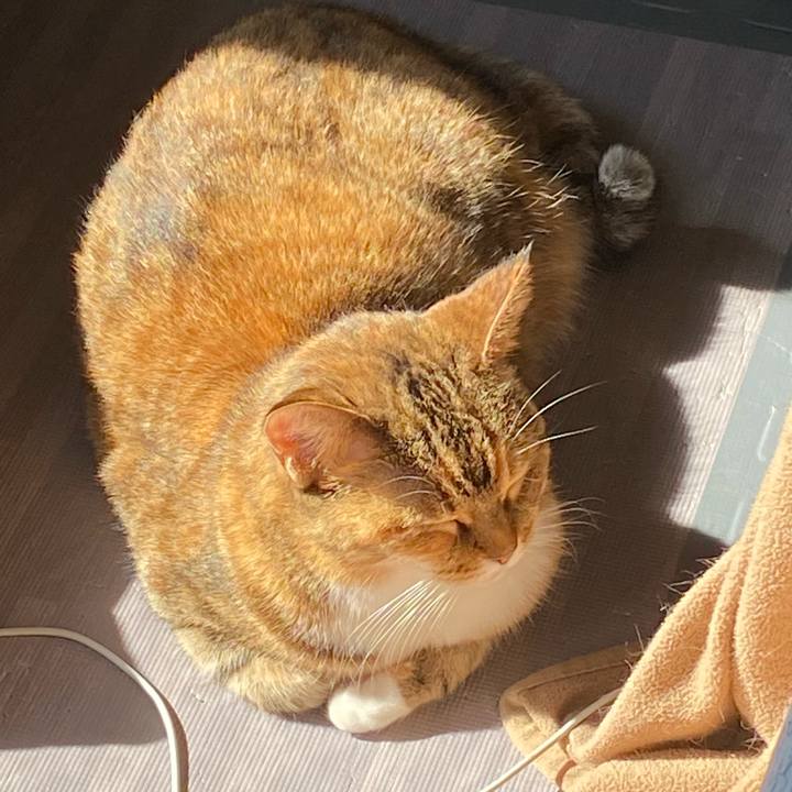 7001489d e956 4277 be2a bc4922895f6b 1644200930330