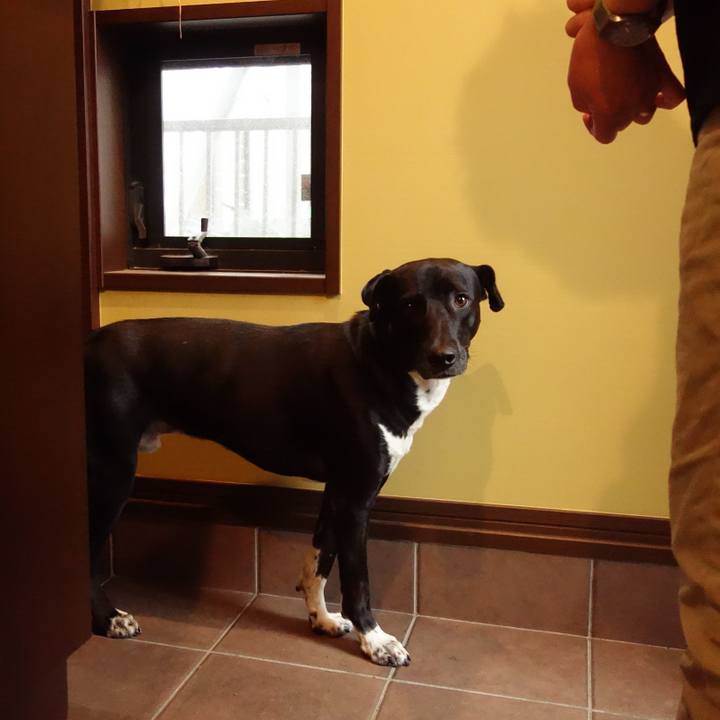 70015648 bb04 4e06 a2b7 974ca74aabf6 1590538464246