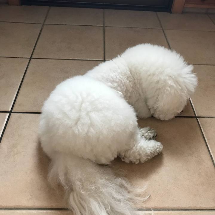 700174ee 882e 4052 ad15 b3486efbf87e 1528171730140