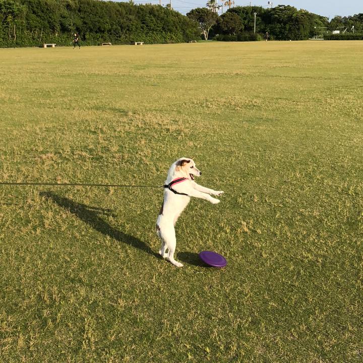 7001c52e d620 4a14 aa90 ee75d3228ca6 1527415241304