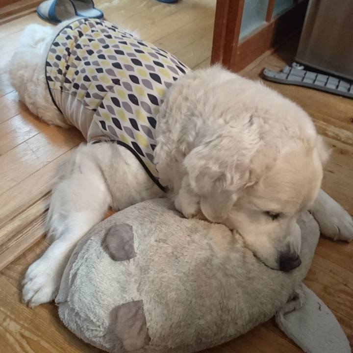 7001f3ea 3e0e 44df a0af ac4d088d5b9f 1523271001519