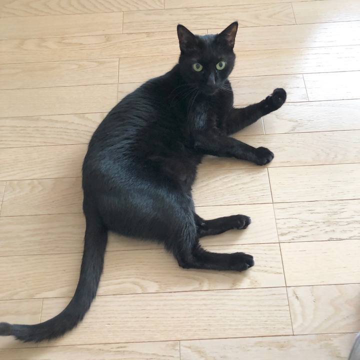 7001ffa1 8bc0 4901 bbb9 5d8e25795554 1586951768999