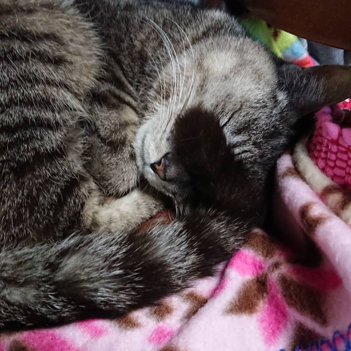 70023f9a 6ba0 42a8 9ab3 117c7ee27f87 1555196231018