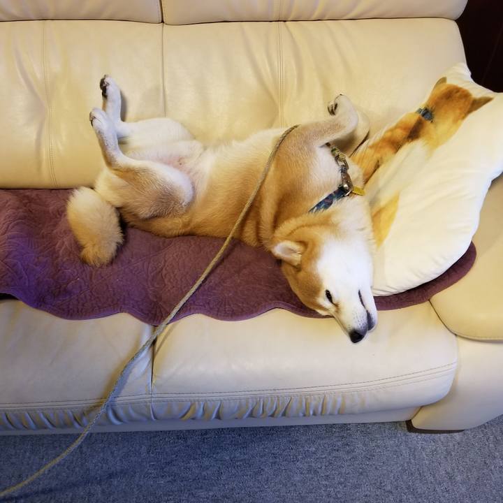 70025283 eacc 4758 8b04 8f1d8baedd85 1579858515305