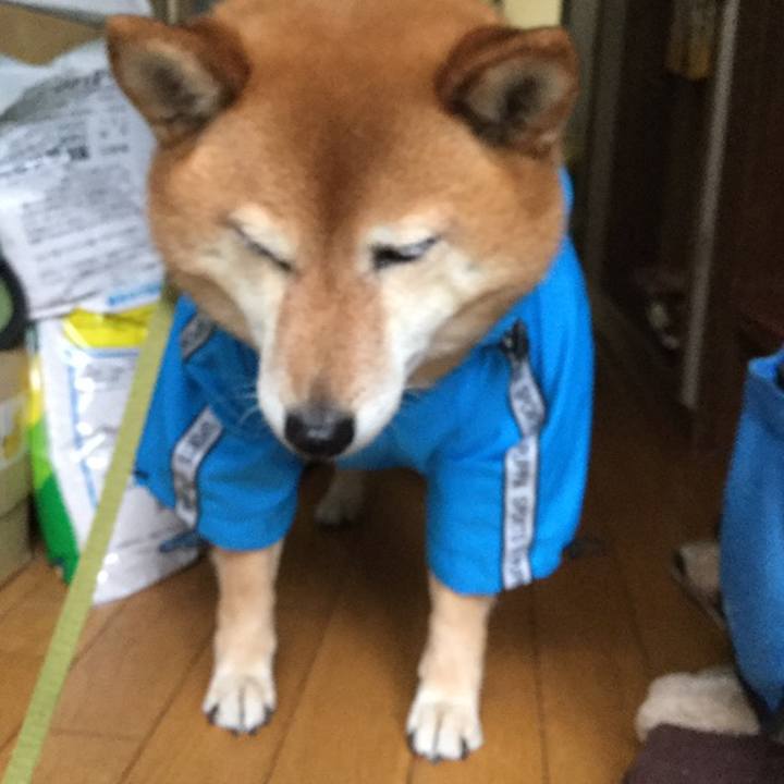 70028904 f3ea 44c3 9f37 083f0e9f8458 1558409934629