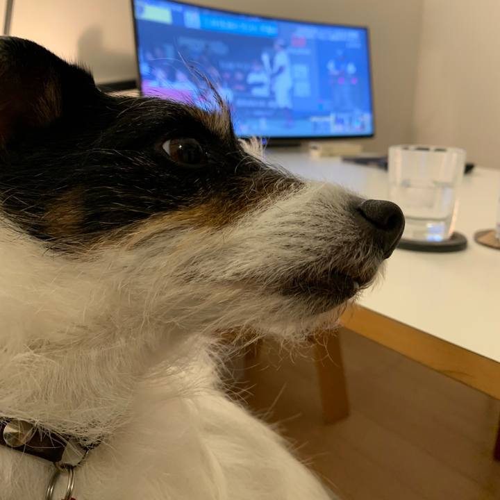 7002c649 f9c9 4cdc b1d6 8c831d4a3d1a 1709727668823