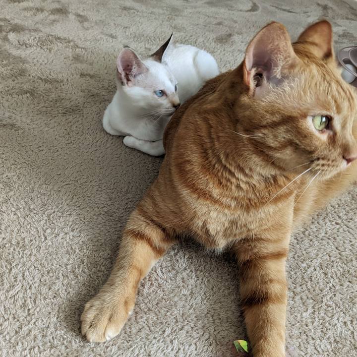 7002e0cb 60d4 4f07 9fc0 9bd462285303 1690182974204