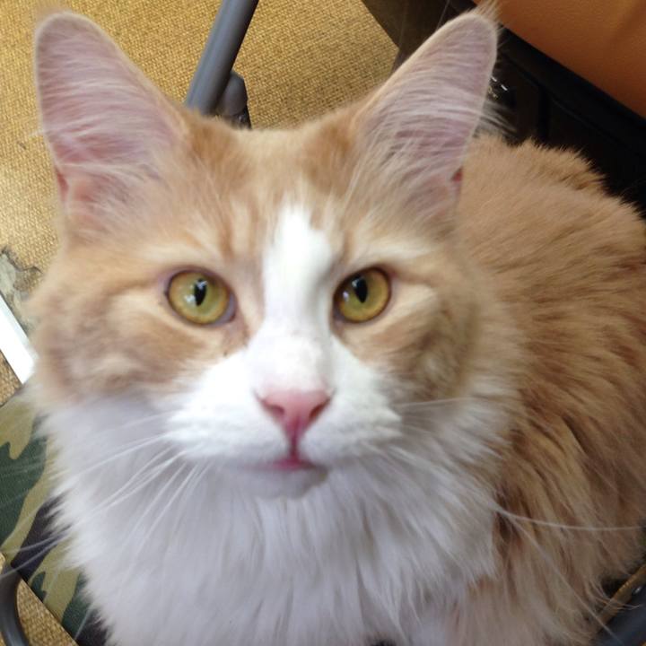 7002f564 db24 4283 9105 5a80a33dc08d 1514596208849