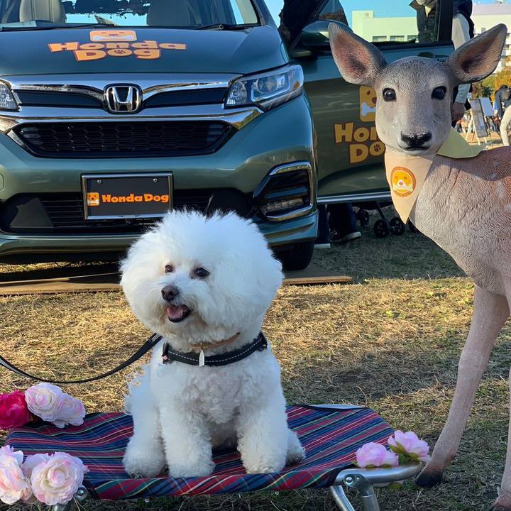 7002f670 eac5 4705 8b2b 38fd4cbea07a 1669538887726