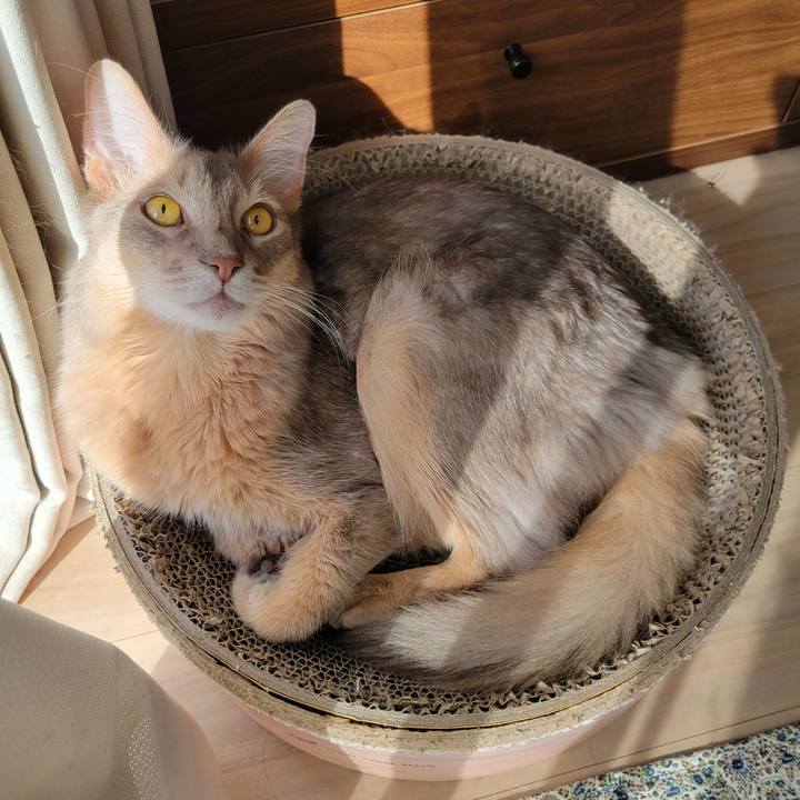 7002fe11 be44 45f7 932b aee53618c606 1635392606448