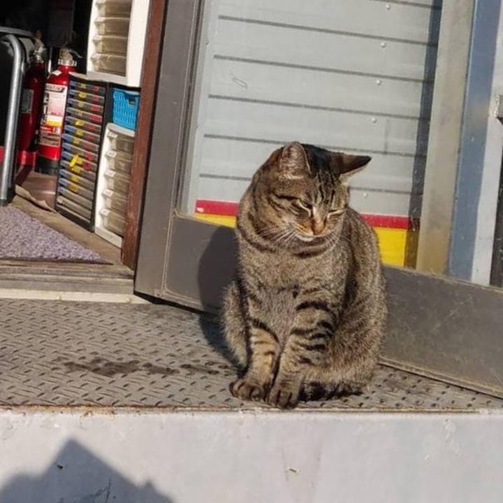 70031d21 8d6d 4bd7 be42 9e6884d35072 1611634636603