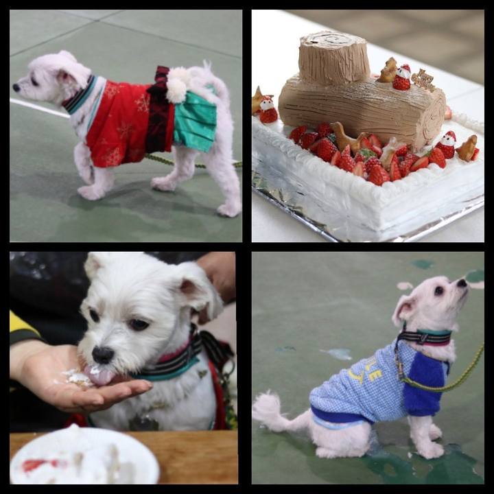 70039af6 68a5 479c a729 40450f1e95c2 1545548132940