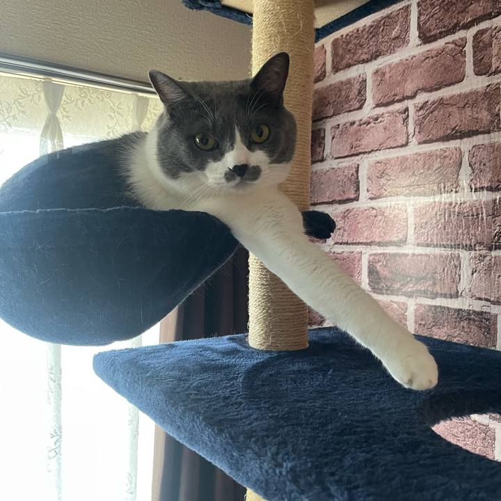 7003d501 b4ac 4179 bfda 0d636482f41d 1696196738139