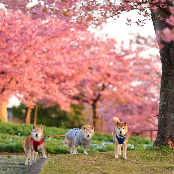 7003db44 dead 476b 8fba f5f5bb95eb26 1772725023759