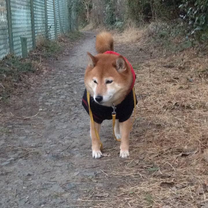 7003edd4 31b9 4719 8c9b e07c16a205fa 1550395089423